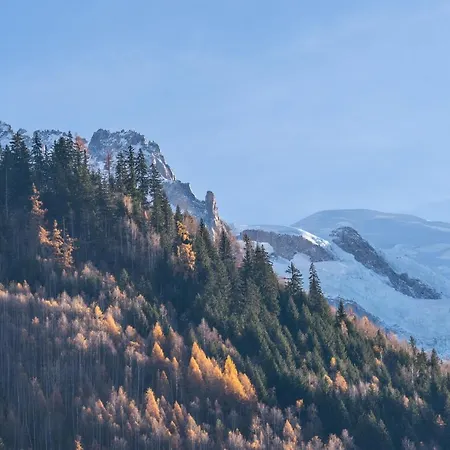 Apartament Sud With Mont Blanc Views Chamonix