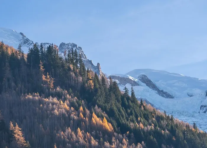Apartment Sud With Mont Blanc Views Chamonix